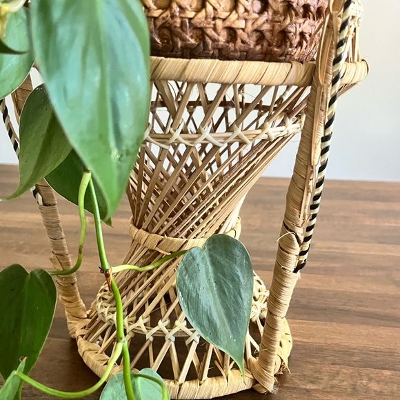 Peacock chair - Picture 5 of 7